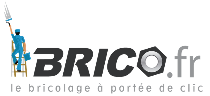 Entretien avec l’acheteur du nom de domaine brico.fr